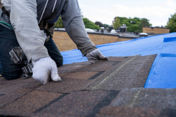 Best Roof Maintenance Services  in Holiday Island, AR