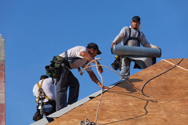 Best Roof Repair Services  in Holiday Island, AR