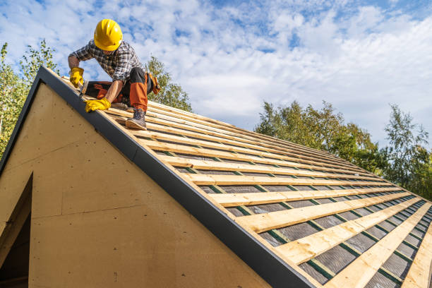 Best Metal Roofing Contractor  in Holiday Island, AR